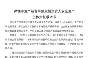 深圳市生产经营单位主要负责人安全生产主体责任承诺书